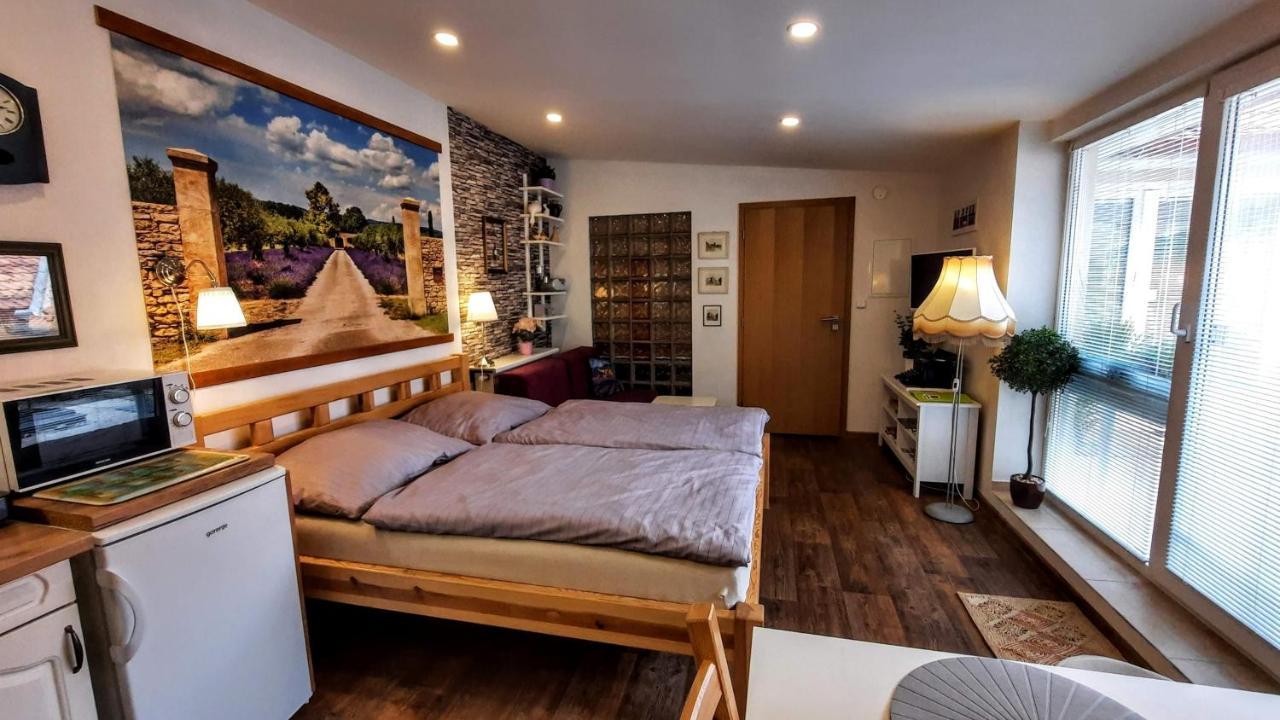 Apartman Za Kopcem Boskovice Bagian luar foto