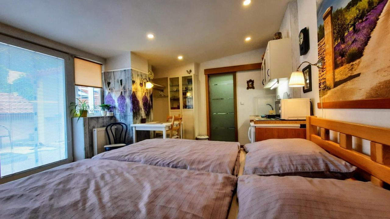 Apartman Za Kopcem Boskovice Bagian luar foto