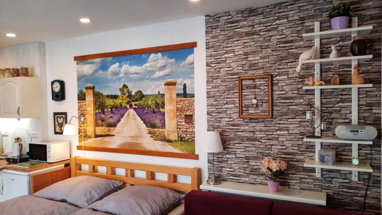 Apartman Za Kopcem Boskovice Bagian luar foto