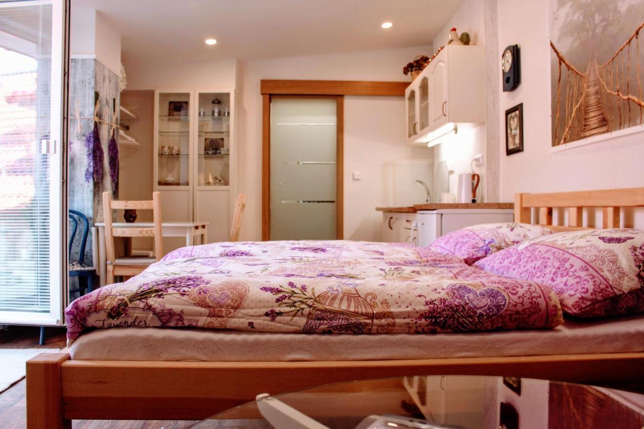 Apartman Za Kopcem Boskovice Bagian luar foto