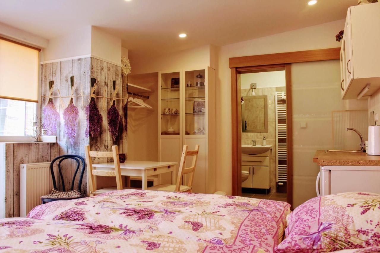 Apartman Za Kopcem Boskovice Bagian luar foto